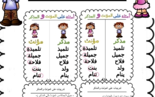 أوراق عمل درس المونث والمذكر لغة عربية الصف الأول