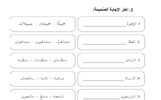 حل ورقة عمل مطابقة المبتدأ والخبر اللغة العربية الصف الثاني الفصل الثالث