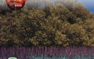 كتاب دليل المعلم المجلد الثالث الدراسات الإجتماعية والتربية الوطنية الصف الثامن الفصل الدراسي الثالث 2025-2026