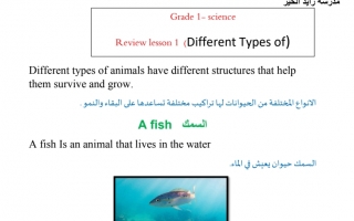 ملخص Different Types of Animals العلوم منهج انجليزي الصف الأول