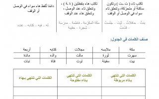 أوراق عمل درس التاء المربوطة والمفتوحة والهاء اللغة العربية الصف الثاني