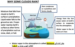 ملخص درس Water on the earth Surface العلوم منهج انجليزي الصف السادس