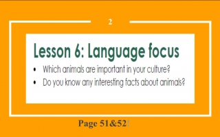 حل درس Language Focus اللغة الإنجليزية الصف الثامن نموذج 2