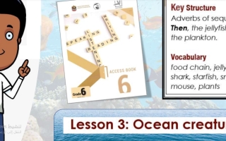 حل درس Ocean creatures اللغة الإنجليزية الصف السادس