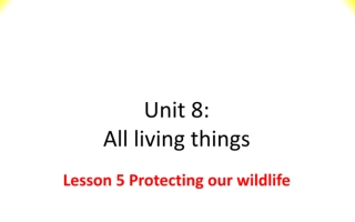 حل درس Protecting Our Wildife اللغة الانجليزية الصف السابع