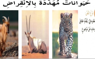 حل درس حيوانات مهددة بالانقراض عربي رابع