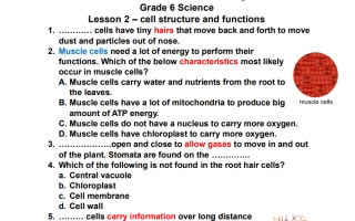ورقة عمل مراجعة cell structure and functions العلوم منهج انجليزي الصف السادس