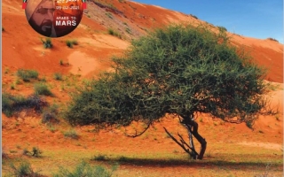 كتاب الطالب المجلد الثالث الدراسات الإجتماعية والتربية الوطنية الصف التاسع الفصل الدراسي الثالث 2025-2026