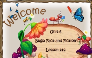 حل درس Unit 6 Lesson 1&2 اللغة الإنجليزية الصف الثالث الفصل الثاني