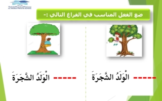 تدريبات دعم وإثراء الأفعال اللغة العربية الصف الأول