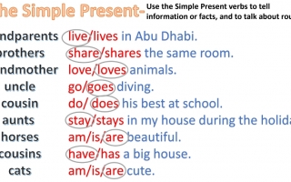 ورقة عمل Simple Present مع الحل اللغة الإنجليزية الصف السادس