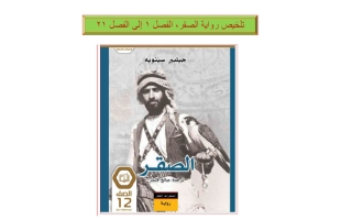 تلخيص رواية الصقر الفصل 1 إلى الفصل 21