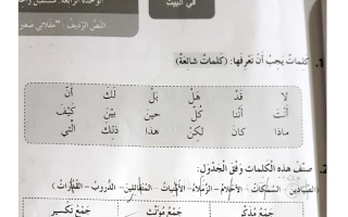 حل درس مقلاتي صغيرة عربي صف رابع