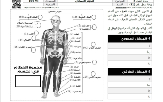 ورقة عمل الجهاز الهيكلي احياء الصف العاشر عام الفصل الاول