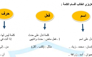ورقة عمل التمييز بين الجملة والتركيب لغة عربية الصف الرابع