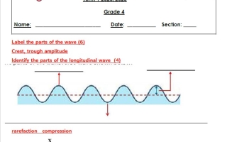 حل أوراق عمل MOCK EXAM PRACTICE العلوم المتكاملة الصف الرابع
