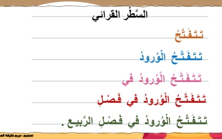 بوربوينت درس تحليل الشدة اللغة العربية للصف الأول