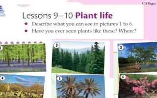 حل درس Plant Life اللغة الإنجليزية الصف العاشر