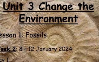 حل درس Fossils العلوم منهج انجليزي الصف الثالث