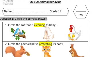 اختبار تكويني ثاني Animal Behavior العلوم منهج انجليزي الصف الأول