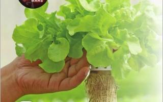 كتاب دليل المعلم المجلد الثالث الدراسات الإجتماعية والتربية الوطنية الصف الرابع الفصل الدراسي الثالث 2025-2026