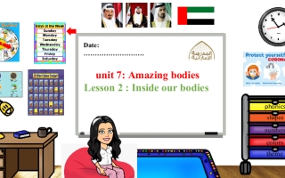 بوربوينت درس Inside our Bodies اللغة الانجليزية الصف الرابع