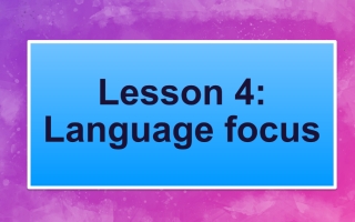 حل درس lesson 4 Language focus اللغة الإنجليزية الصف السابع