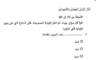 أوراق عمل متنوعة لغة عربية الصف الثاني الفصل الثالث - نموذج 1