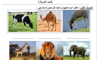 اختبار تحديد المستوى الثاني اللغة العربية الصف الثاني الفصل الثاني