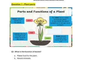 حــل مراجعة أسئلة الهيكل الوزاري العلوم المتكاملة الصف الثالث