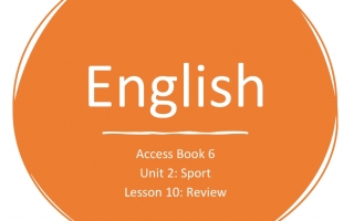 حل درس Review اللغة الإنجليزية الصف السادس Access