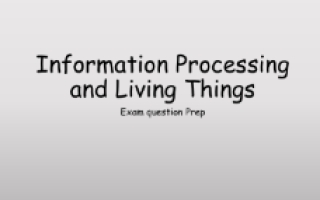 مراجعة Information Processing And Living Things العلوم للصف الرابع منهج انجليزي