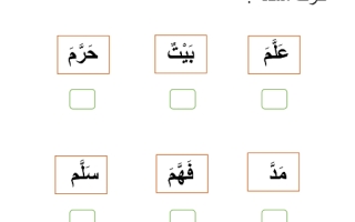 ورقة عمل درس الشدة اللغة العربية الصف الأول
