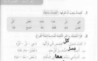 حل درس الفصول الاربعة لغة عربية للصف الثالث فصل ثالث