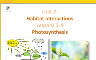 حل درس Photosynthesis لغة إنجليزية الصف التاسع