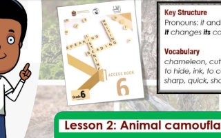 حل درس Animals camouflage اللغة الإنجليزية الصف السادس