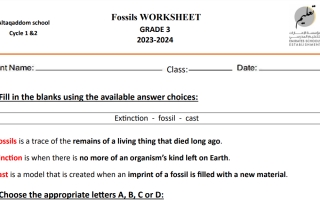 ورقة عمل Fossils العلوم منهج انجليزي الصف الثالث