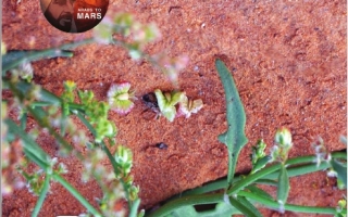 كتاب دليل المعلم المجلد الثالث الدراسات الإجتماعية والتربية الوطنية الصف الخامس الفصل الدراسي الثالث 2025-2026