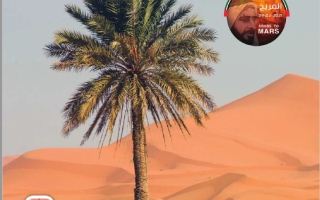 كتاب الطالب المجلد الثالث الدراسات الإجتماعية والتربية الوطنية الصف الثاني الفصل الدراسي الثالث 2025-2026