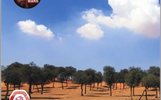 كتاب الطالب المجلد الثالث الدراسات الإجتماعية والتربية الوطنية الصف الأول الفصل الدراسي الثالث 2025-2026