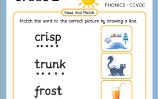 ورقة عمل الأسبوع الثالث PHONICS Transportation اللغة الإنجليزية الصف الثاني الفصل الثالث