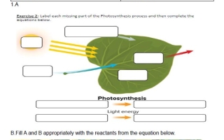 تدريبات Writing Part العلوم المتكاملة الصف السابع