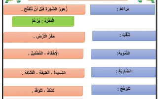 ورقة عمل شرح مفردات درس عالم الحشرات من حولنا اللغة العربية الصف الثالث