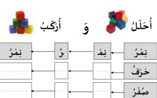 ورقة عمل أحلل وأركب اللغة العربية الصف الأول