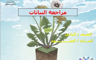 مراجعة النباتات العلوم المتكاملة الصف الثاني