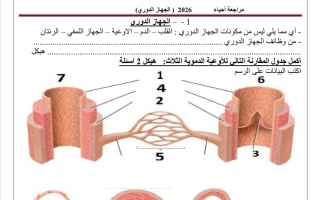مراجعة الجهاز الدوري أحياء الصف العاشر عام الفصل الأول 2026
