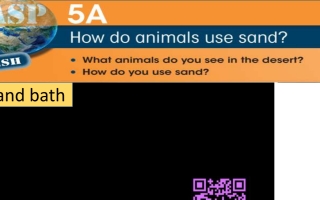 حل درس How do animals use sand اللغة الإنجليزية الصف السادس